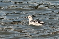 17 01 15_0389_edited-1